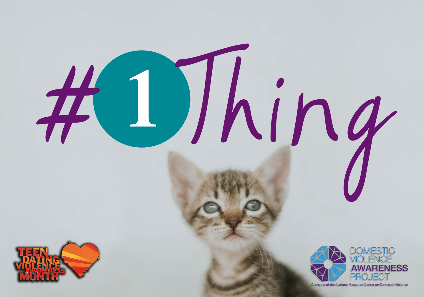 #1Thing logo imposed over image of a kitten