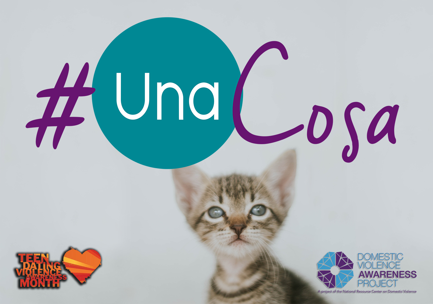 #UnaCosa logo imposed over image of a kitten